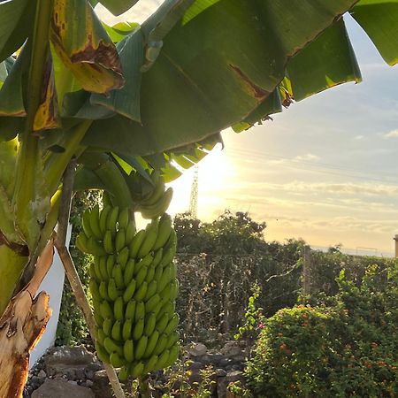 הוילה פונטה דל הידלגו Un Paraiso En Tenerife מראה חיצוני תמונה